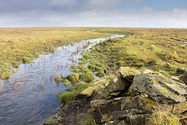 burn, ведущий в saltmarsh на rspb crook из baldoon - wigtownshire стоковые фото и изображения