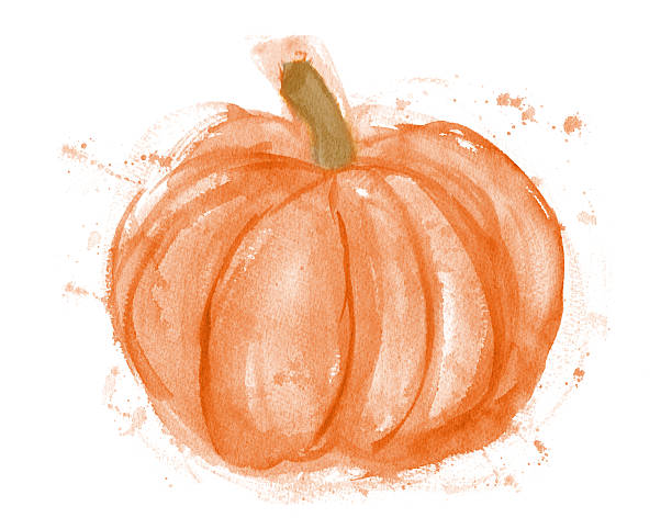 ilustraciones, imágenes clip art, dibujos animados e iconos de stock de calabaza acuarela sobre blanco - white background horizontal close up vegetable