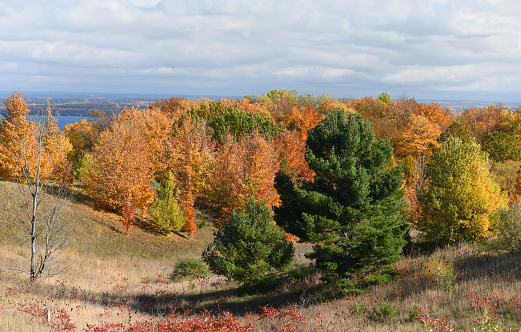 Lush autumn foliage on the hills of the Lower Peninsula in Michigan state, USA.