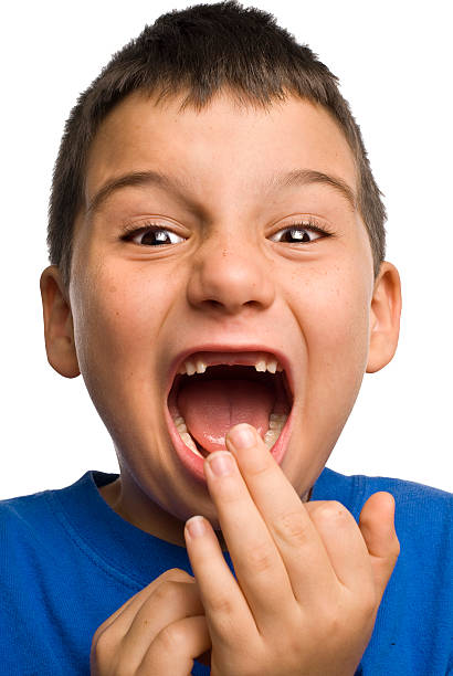 Boy: My two front teeth stock photo