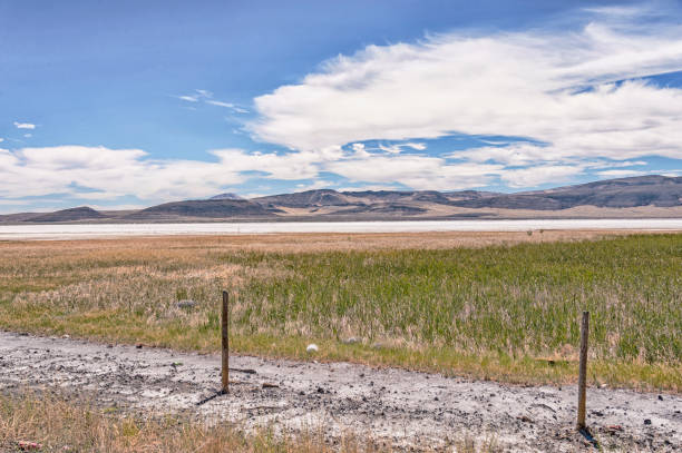 This view shows some of the Fernley Salt flats, an irrigation system has been employed to draw the salt from the farmland.