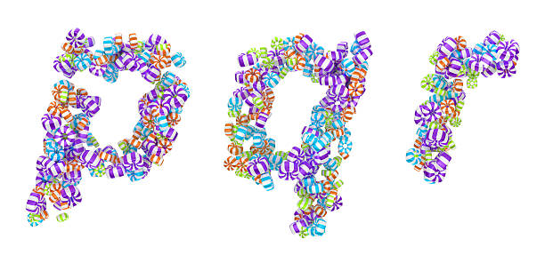 istock Sweet candy font P Q R letters 124671273