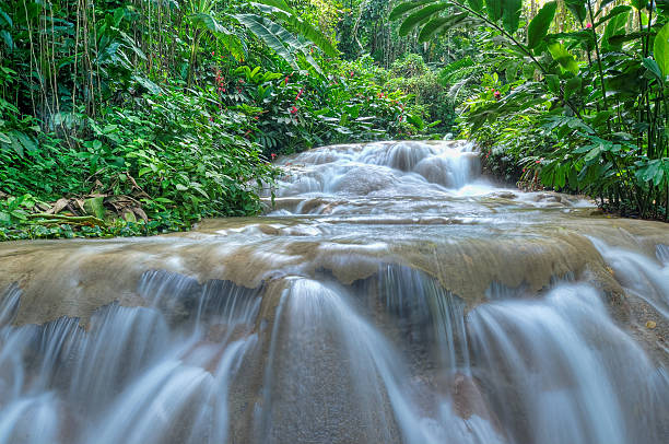 красивый каскад - waterfall tropical rainforest water jamaica стоковые фото и изображения