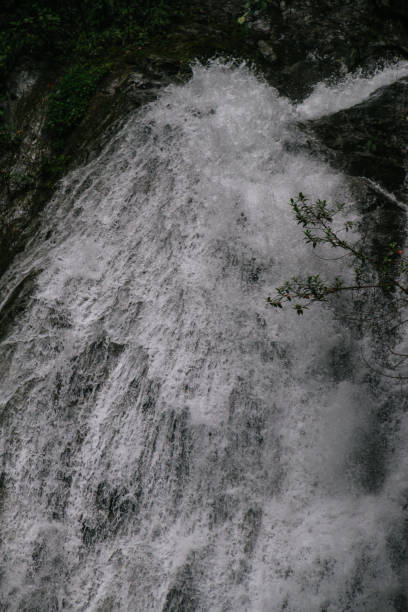 istock pure water source, waterfall in the middle of the jungle, amazon. 1246724358