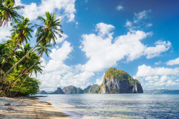 Leaning palm trees of Las Cabanas beach in El Nido, Palawan island, Philippines Leaning palm trees of Las Cabanas beach in El Nido, Palawan island, Philippines. el nido photos stock pictures, royalty-free photos & images