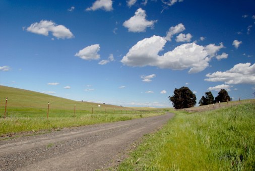 Country, dirt road between fields with yellow grass, near a fence with barbed wire to the hill. Green forest and blue sky with white clouds in the background.