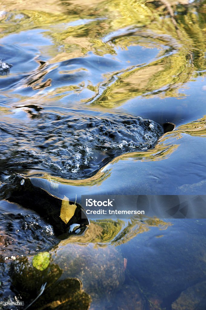 Reflection In Running Water  Running Stock Photo