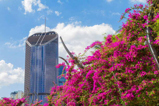 istock Brisbane Skyline Panorama, Queensland, Australia 1246764466