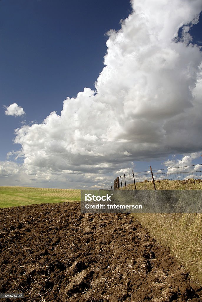 California terreni agricoli - Foto stock royalty-free di Agricoltura