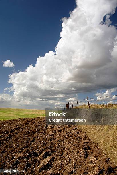 California Terreni Agricoli - Fotografie stock e altre immagini di Agricoltura - Agricoltura, Ambientazione esterna, Blu