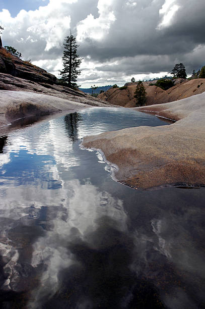 lone pine, sossegado pool - nevada pine tree autumn landscape imagens e fotografias de stock