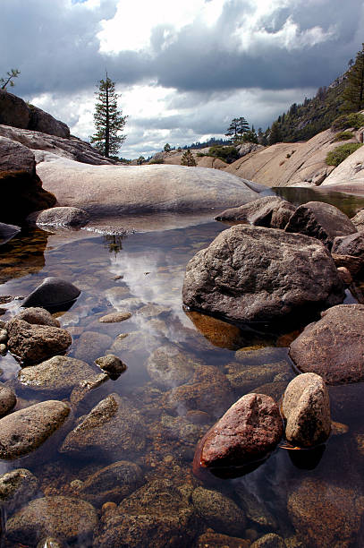 lone pine, sossegado pool - nevada pine tree autumn landscape imagens e fotografias de stock