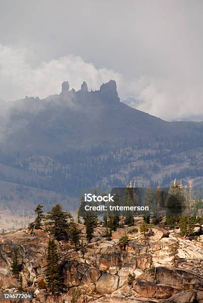 Berggipfel In Nebel Stockfoto und mehr Bilder von Abgestorbene Pflanze - Abgestorbene Pflanze, Baum, Berg