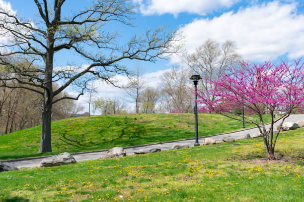 An empty path on a green grass hill with colorful flowering plants during spring on Randalls and Wards Islands of New York City