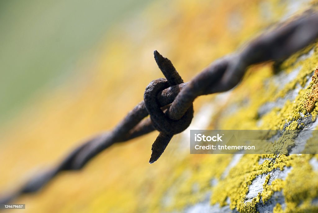 Tight Barbed Wire  Abstract Stock Photo