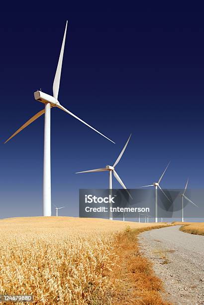 Stark White Power Generating Windmills Stock Photo - Download Image Now - Agriculture, Blue, Cereal Plant