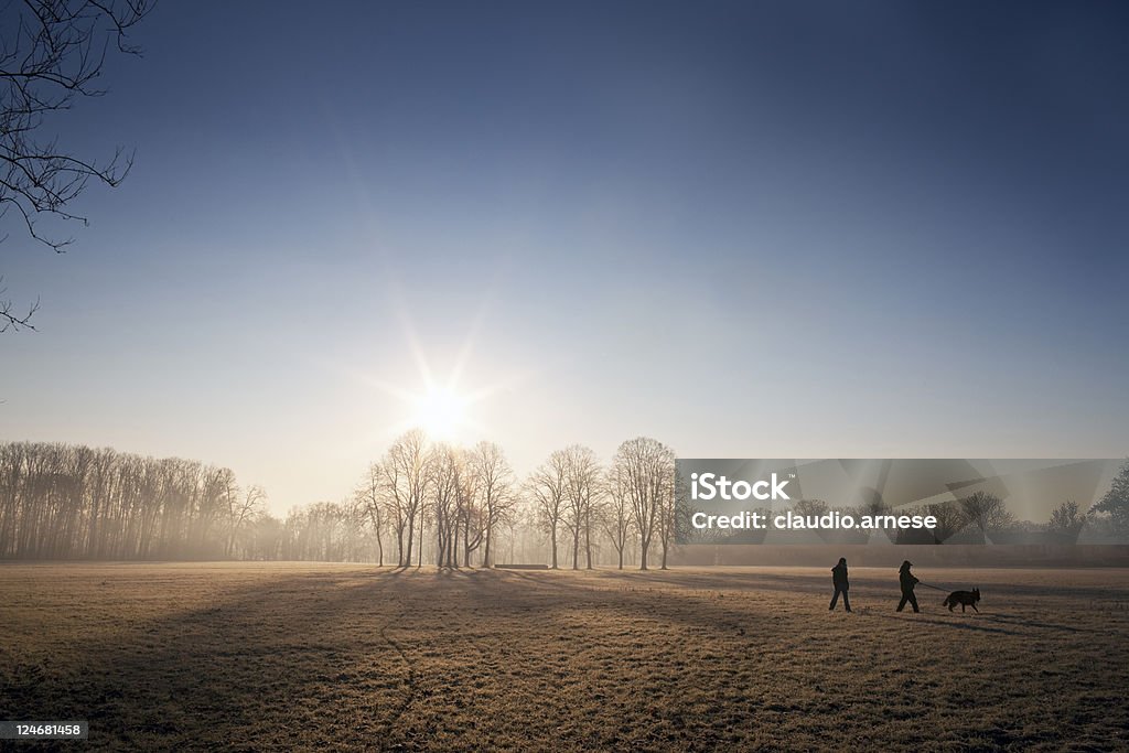 Metropark en la mañana. Imagen de Color - Foto de stock de Invierno libre de derechos