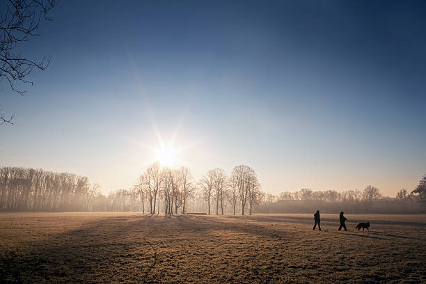 metropark le matin. image en couleur - morning italy shadow sunlight photos et images de collection