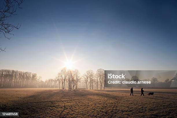 Metropark Al Mattino Immagine A Colori - Fotografie stock e altre immagini di Inverno - Inverno, Caccia - Sport con animali, Sole