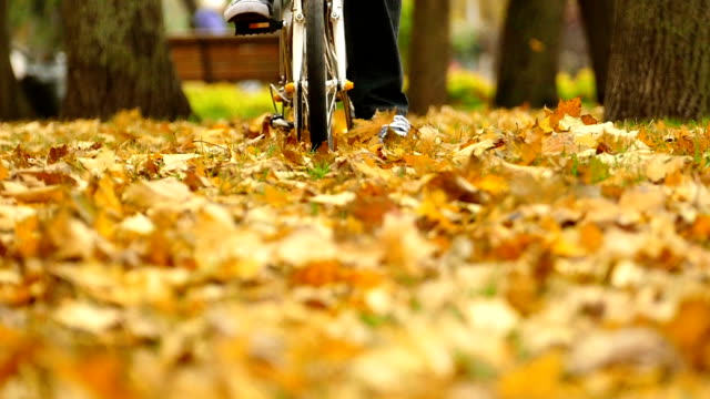 Man  on modern bicycle in autumn Central  park.