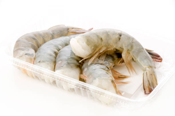 白い背景にプラスチックパックで新鮮な黒虎エビの尾 - black tiger shrimp ストックフォトと画像