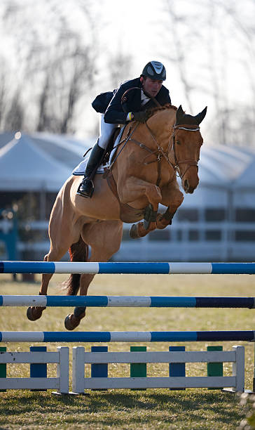 Jockey during a Show Jumping. Color Image Please see lightbox ---> equestrian show jumping stock pictures, royalty-free photos & images