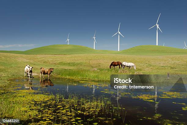 Kraft Generieren Windmühlen Und Vieh Stockfoto und mehr Bilder von San Joaquin-Tal - San Joaquin-Tal, Agrarbetrieb, Frühling