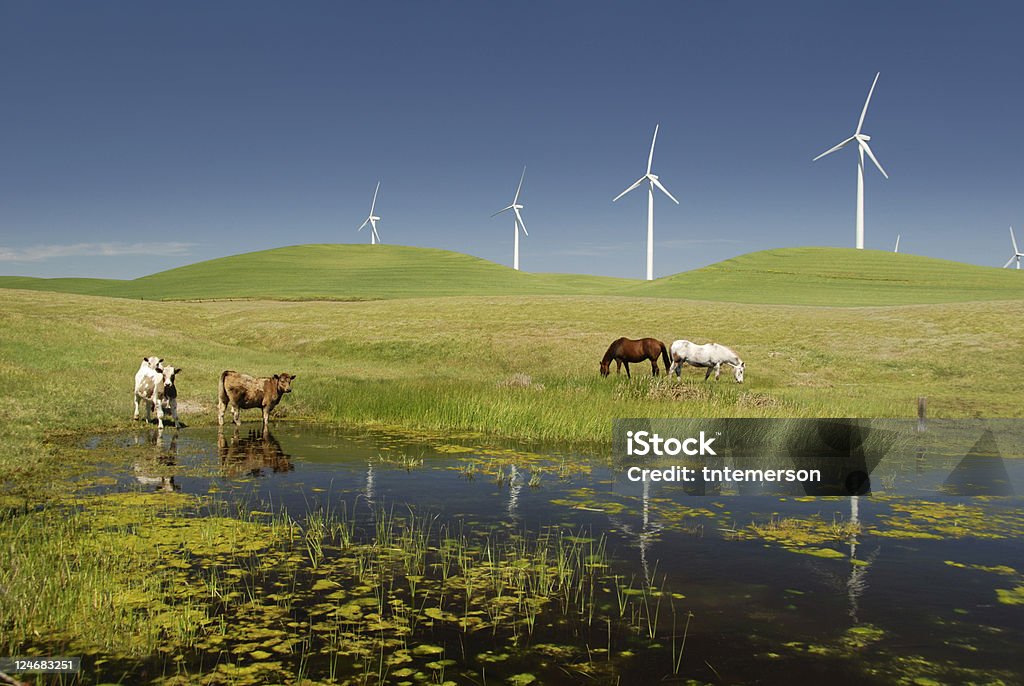 Poder Moinhos de criação e animais - Royalty-free Vale de San Joaquin Foto de stock