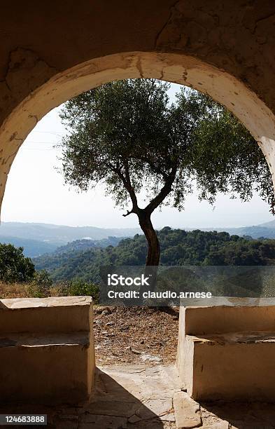 Ulivo Immagine A Colori - Fotografie stock e altre immagini di Albero - Albero, Casa, Composizione verticale