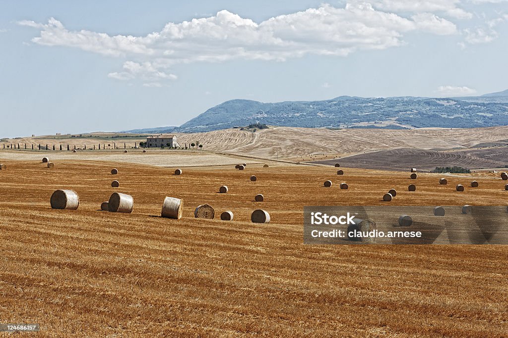 Toscane. Paysagé - Photo de Agriculture libre de droits