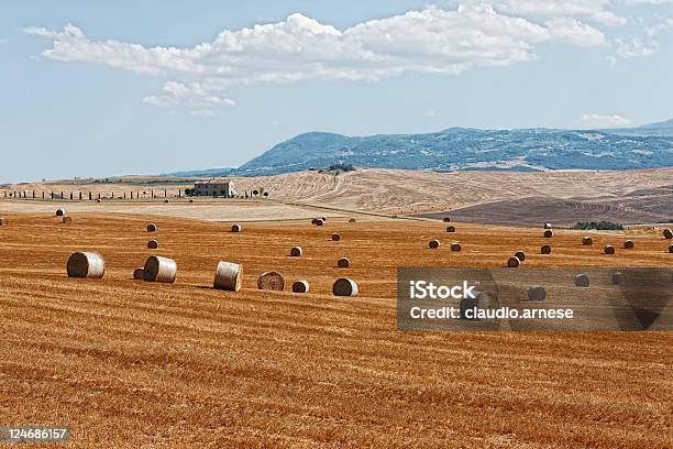Photo libre de droit de Toscane Paysagé banque d'images et plus d'images libres de droit de Agriculture - Agriculture, Blé, Botte de paille
