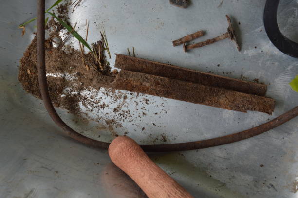 i manufatti del tradimento con un metal detector - treachery foto e immagini stock