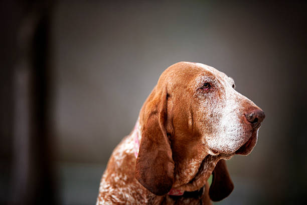 http://italiano.istockphoto.com/file_thumbview_approve.php?size=1&id=11733329