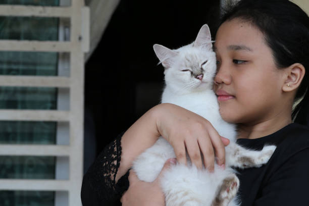 A Muslim teenage girl is enjoying precious bonding time with her kitty cat at home.