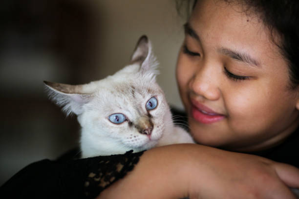 A Muslim teenage girl is enjoying precious bonding time with her kitty cat at home.