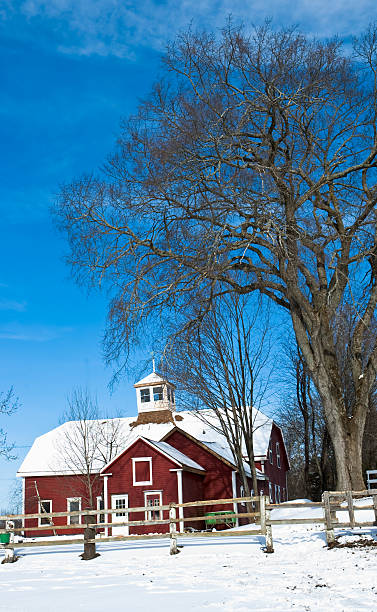 istock City Mills Farm 124689666