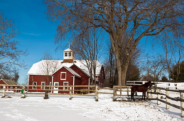 istock New England Horse Farm 124689763