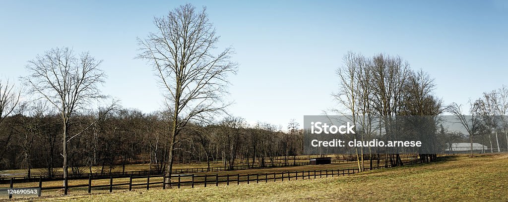 Paddock. Color Image  Agricultural Field Stock Photo