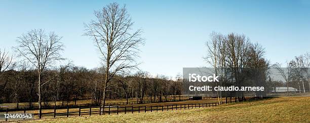 Paddock Color Image Stock Photo - Download Image Now - Agricultural Field, Backgrounds, Color Image