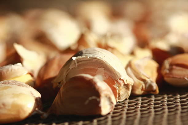 Organic garlic. Macro Photo food garlic bulb