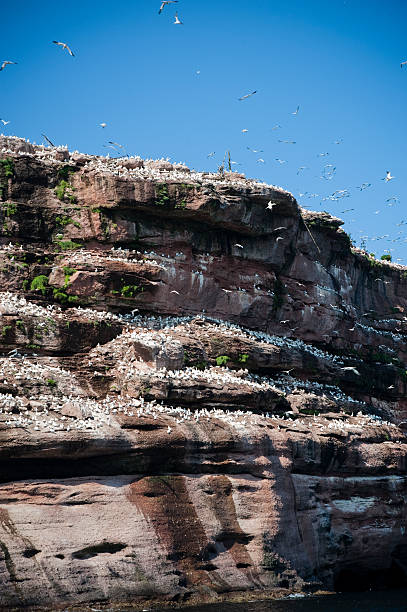 istock A portrait of a cliff against a blue sky 124690774
