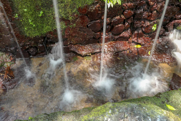 sorgenti d'acqua sacre nella valle del pakerisan nel complesso funerario di tampaksiring. gunung kawi, bali, indonesia. l'acqua cade sulla superficie dell'acqua e lascia cadere lo spray su muschio e vegetazione tropicale sulla parete rocciosa - flowing nature spray rock foto e immagini stock