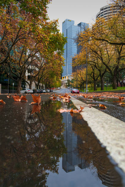 MELBOURNE, AUSTRALIA - 23 May 2020:  Reflection of Melbourne Building in a puddle in Jolimont.