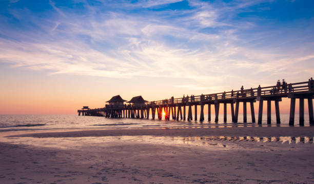 molo di napoli in florida - florida naples florida pier beach foto e immagini stock