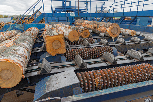 Automated log sorting line. Wheel loader and automatic sorting logs diameter at the sawmill. Lumber industry