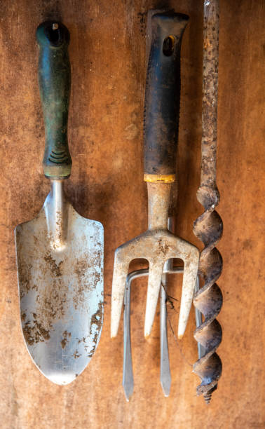 istock Gardening tools hanging on shed wall. 1246914086
