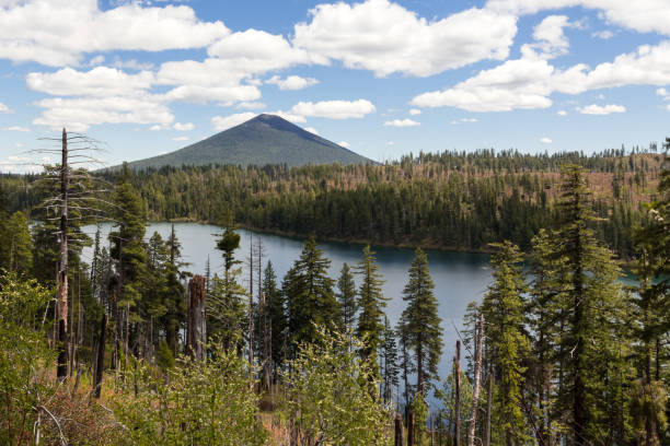 istock Lake and hills landscape, view from above 1246916144