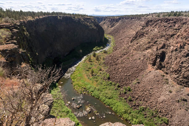 pustynny kanion zakrzywionej rzeki, widok z góry - crooked river zdjęcia i obrazy z banku zdjęć