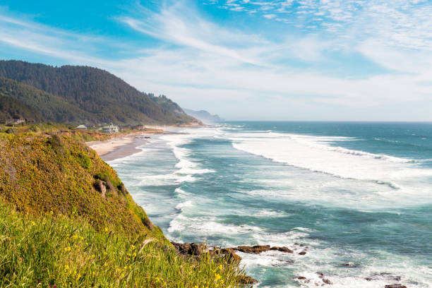 istock Beautiful seascape in sunny day. Foamy tide view from high coastal cliffs 1246916599