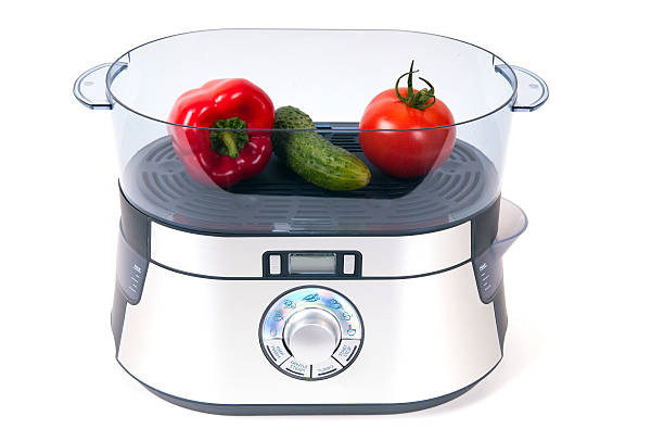 istock modern electric steamer with fresh vegetables 124691745